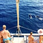 Whale Watching Sail in Honolulu with Open Bar - A Closer Look at the Value