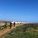 White cliffs of the Seven Sisters and Beachy Head Tour - Authentic Insights from Reviewers