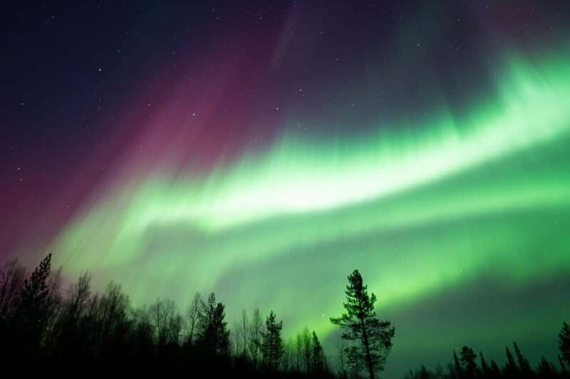 Wilderness Adventure by Snowmobile Sleigh - FAQs