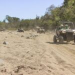 Wildest Adventure: Zip Lines, Free Falls, and Off-Road Thrills - Who Will Love It?