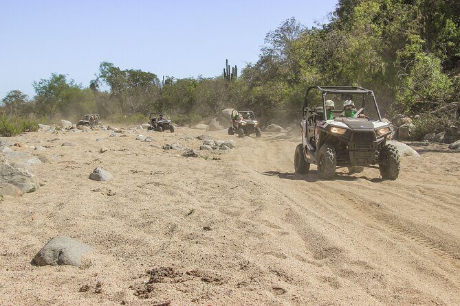 Wildest Adventure: Zip Lines, Free Falls, and Off-Road Thrills - Who Will Love It?