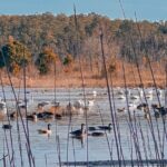 Wildlife Photo Safari - In-Depth Review of the Wildlife Photo Safari