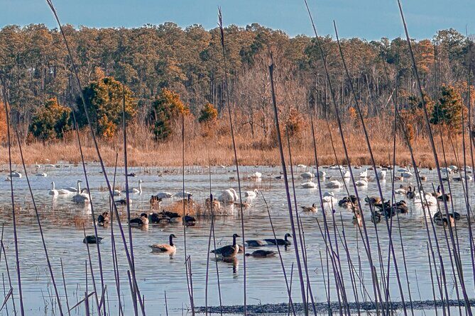 Wildlife Photo Safari - In-Depth Review of the Wildlife Photo Safari