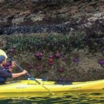 Wildlife Spotting Kayak Adventure on Orcas Island - Why This Tour Is Worth Considering
