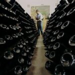 Wine and Balsamic Vinegar Tour with Tasting - An In-Depth Look at the Modena Wine and Balsamic Vinegar Experience