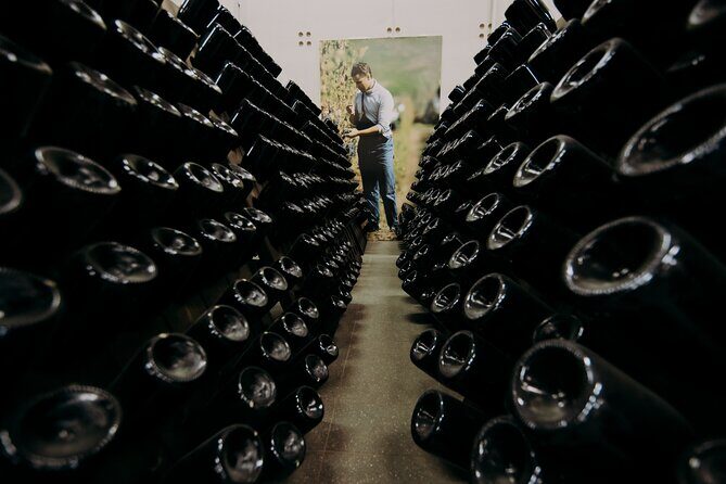 Wine and Balsamic Vinegar Tour with Tasting - An In-Depth Look at the Modena Wine and Balsamic Vinegar Experience