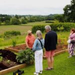 Wine & Cheese in the Somerset Valleys - with Michelin lunch - The Practicalities: What You Need to Know