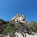 Wine Route in Tequisquiapan with Transportation - Value and Practicality