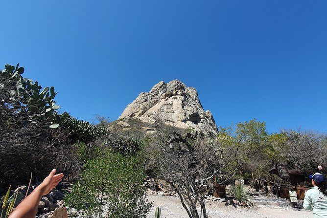 Wine Route in Tequisquiapan with Transportation - Value and Practicality