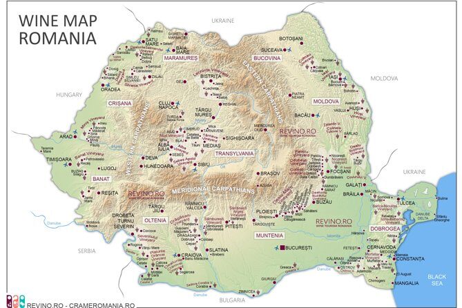 Wine Tasting in Bucharest long version - Why This Experience Works for Travelers