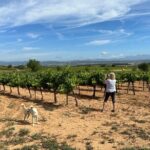 Wine Tasting in Three Boutique Wineries Tour - Max 8 people - Who Would Enjoy This?