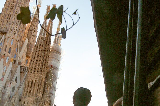 Wine tasting with a view of the Sagrada Familia - Who Will Love This Tour?