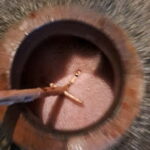 Wine Tour by Winemaker - FAQs