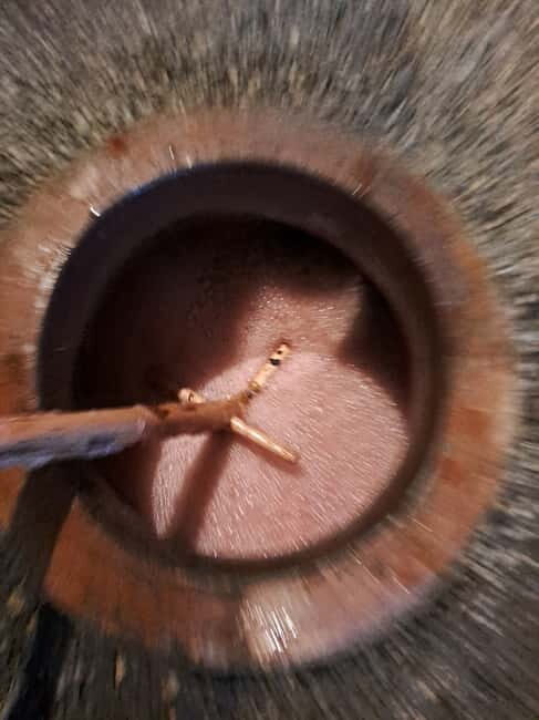 Wine Tour by Winemaker - FAQs