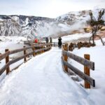 Winter Wildlife Safari in Yellowstone National Park - Practical Details and Considerations