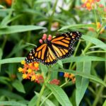 Winter Wonder Tour - FAQs