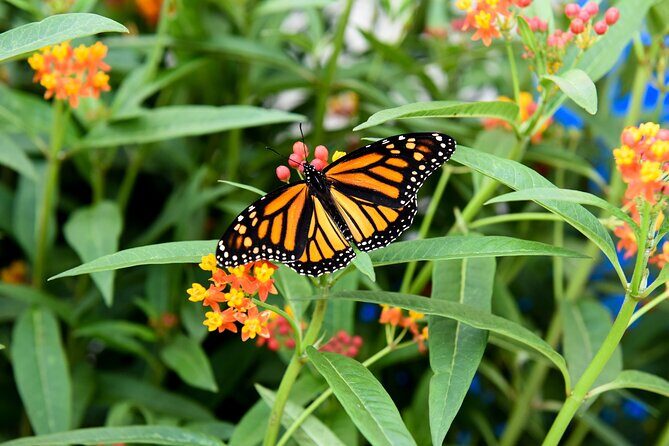 Winter Wonder Tour - FAQs