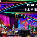 Wolverhampton/Walsall: Blackpool Illuminations Coach Trip - A Detailed Look at the Blackpool Illuminations Coach Trip