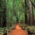 Women Only 5 day California Vineyards, Waves and Wine Tour - An In-Depth Look at the Itinerary