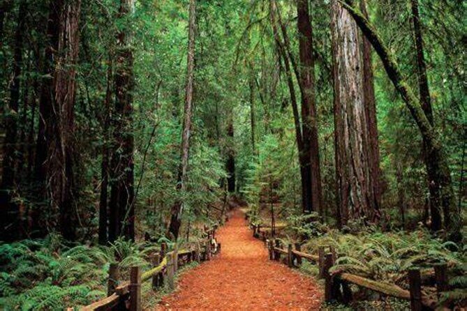 Women Only 5 day California Vineyards, Waves and Wine Tour - An In-Depth Look at the Itinerary