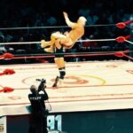 Wrestling with Mexican Dinner and Transportation - Final Thoughts