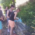 Wuerzburg: Wine mountain rally with wine tasting and group dynamics - An In-Depth Look at the Würzburg Wine Mountain Rally