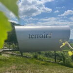 Würzburg: Excursion to the vineyards - enjoyable wine hike & tasting - Practical Considerations