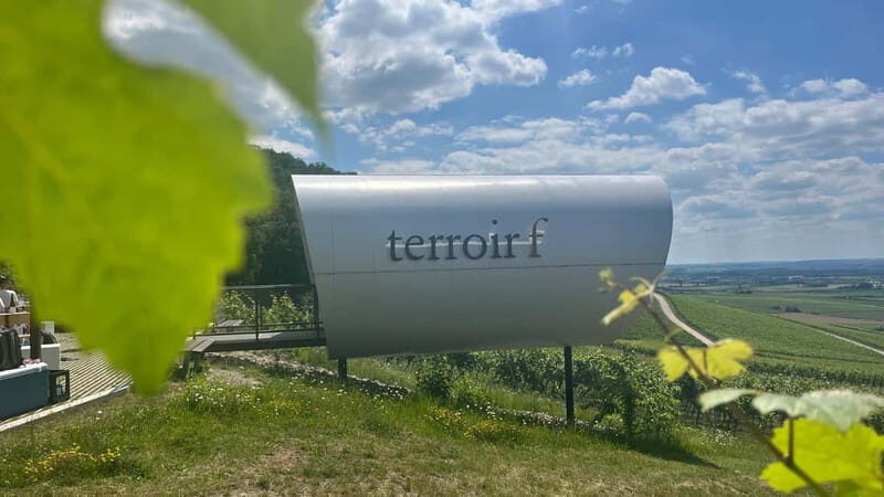 Würzburg: Excursion to the vineyards - enjoyable wine hike & tasting - Practical Considerations