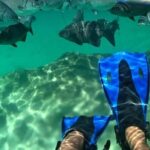 Xel-ha All Inclusive Tour - Final Thoughts