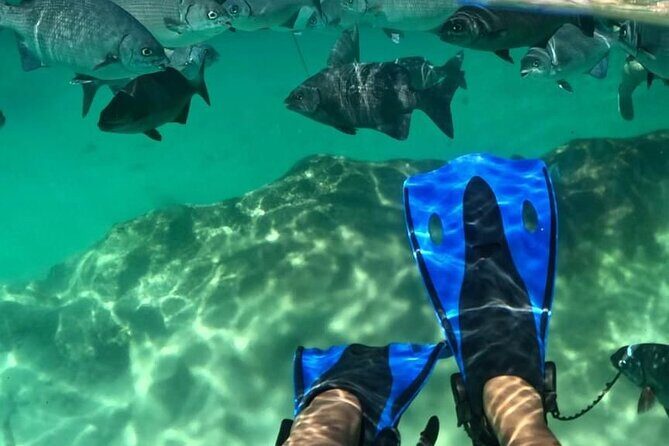 Xel-ha All Inclusive Tour - Final Thoughts