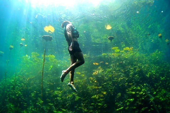 Xenotes Nature Adventure! Round Transportation From Cancun & Riviera Maya - Is This Tour Good Value?