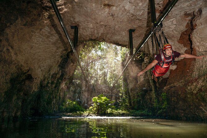 XENSES tickets with Transportation - What the Reviews Reveal