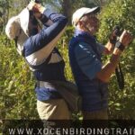 Xocen Birding - Who Will Love This Tour?