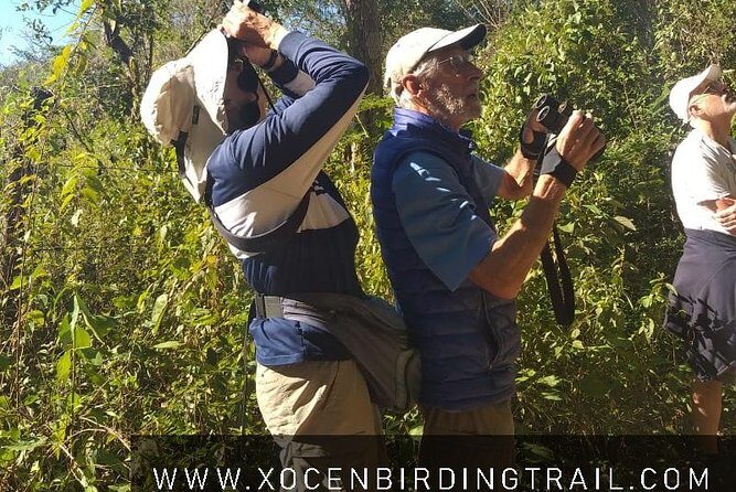 Xocen Birding - Who Will Love This Tour?