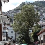 Xochicalco Taxco Cacahuamilpa and Pozas Azules - Practical Details and What to Expect