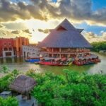 Xoximilco An Amazing Mexican Night Party with Transportation - The Sum Up