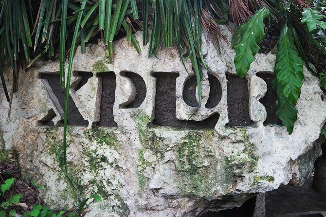 Xplor All Inclusive With Round Transportation From Cancun & Riviera Maya - What to Expect: The Reality of the Experience