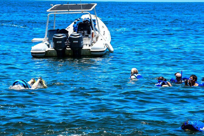 Yelapa Adventure and Snorkeling Escape in Puerto Vallarta - Snorkeling in Vibrant Marine Settings