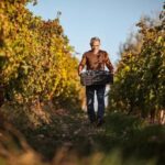 Yerevan: Gevorkian Winery Tour and Tasting Experience - Exploring the Gevorkian Winery Tour: An In-Depth Look