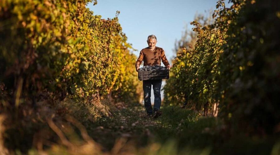 Yerevan: Gevorkian Winery Tour and Tasting Experience - Exploring the Gevorkian Winery Tour: An In-Depth Look