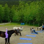 Yoga with Horses - Good To Know