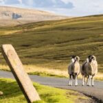 Yorkshire Dales National Park Driving Tour with an APP - The Detailed Itinerary Breakdown