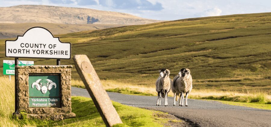Yorkshire Dales National Park Driving Tour with an APP - The Detailed Itinerary Breakdown