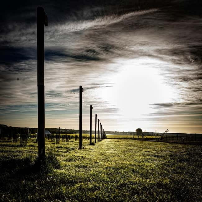 Yorkshire: Loversall Vineyard Wine Tasting and Tour - Why This Tour Offers Great Value