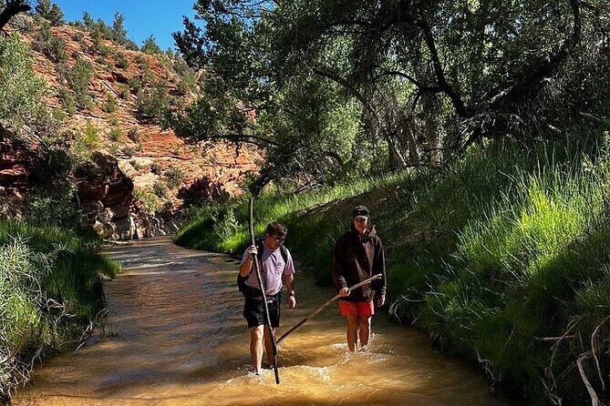 YOU DRIVE!! 4 Hr East Zion Guided UTV Tour - The Experience: What to Expect During the Tour