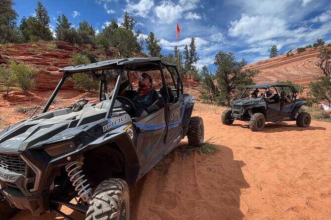 YOU DRIVE!! East Zion's Hidden Treasures - 4 Hr UTV Tour - Who Will Love This Tour?