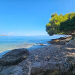 Zadar: 3-Islands Snorkeling, Beach, and Sightseeing Tour - About the Itinerary