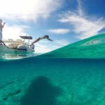 Zadar: Dugi Otok Island - 2x Snorkeling & Sandy Beach - 7 hr - What to Expect from the Itinerary