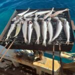 Zadar: Fishing Boat Trip with Lunch and Swimming Included - Lunch in a Beautiful Setting