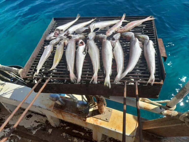 Zadar: Fishing Boat Trip with Lunch and Swimming Included - Lunch in a Beautiful Setting